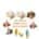Combo - Box Of 8 Ice Cream Powder Mix (Mixed)