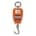 Crane / Wall Hanging Scale - 200kg